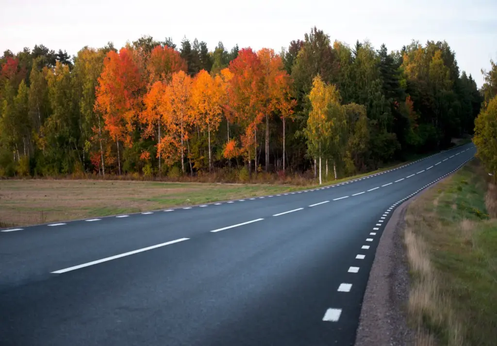 En slingrande asfaltsväg går förbi höstträd med ljusorange och gröna bladverk.